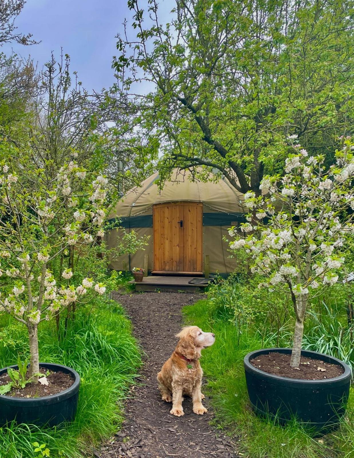 Stamford Meadows Glamping With Private Hot Tubs Hotel Eksteriør billede